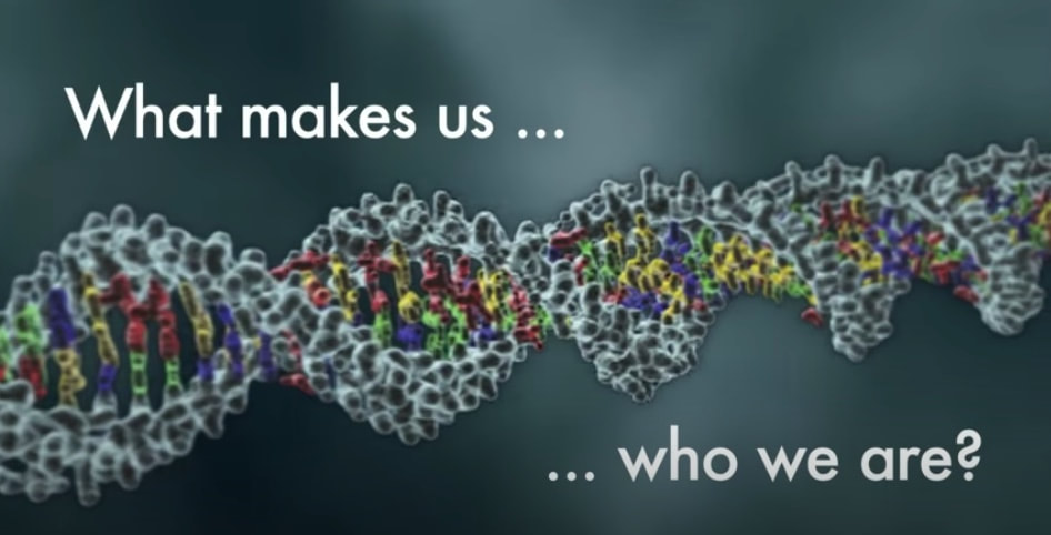 Epigenetics: What Makes Us Who We Are? - Begin Before Birth